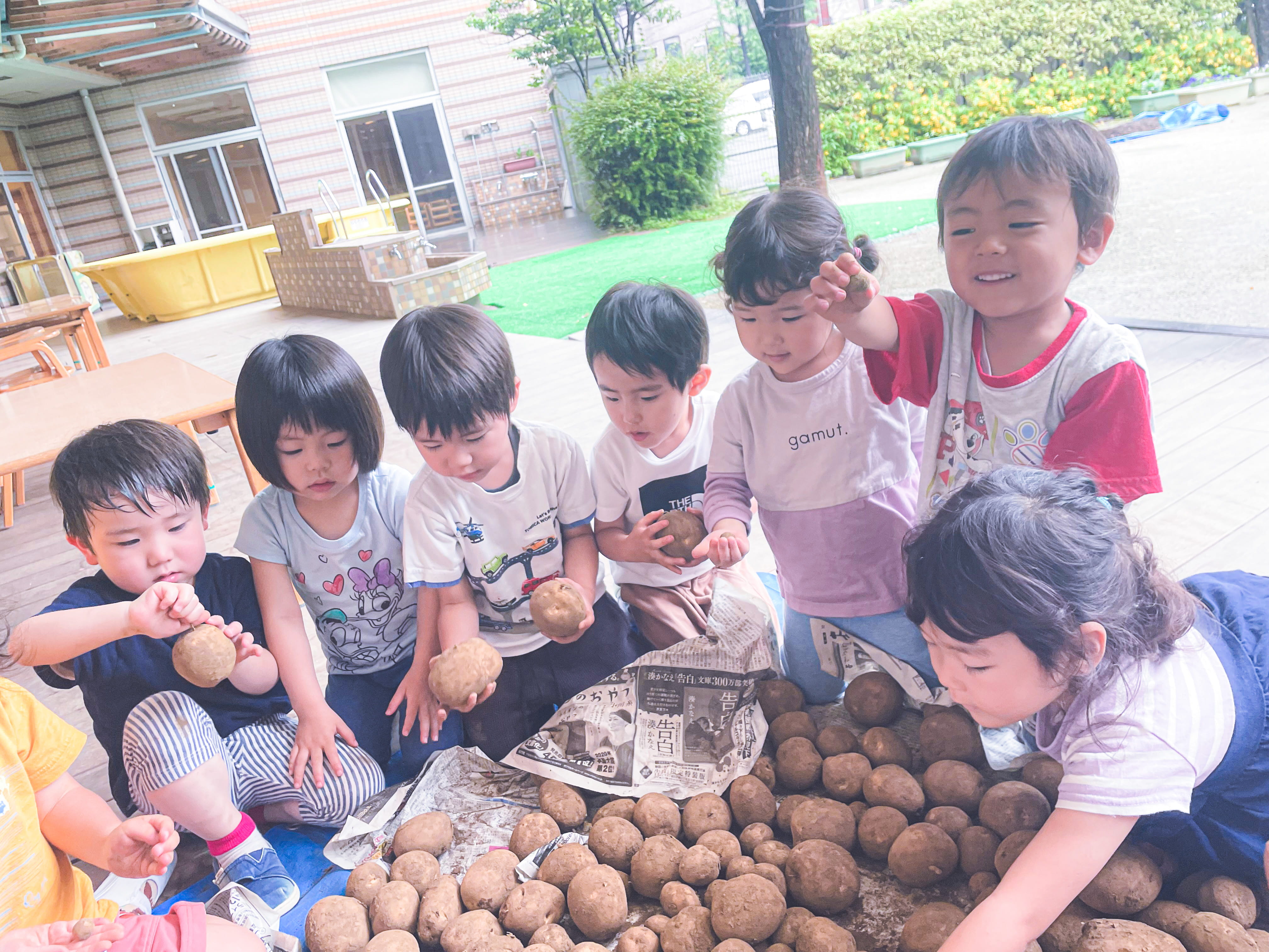芋掘り遠足