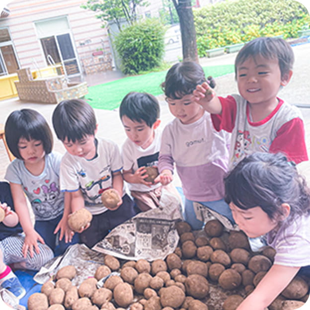 芋掘り遠足