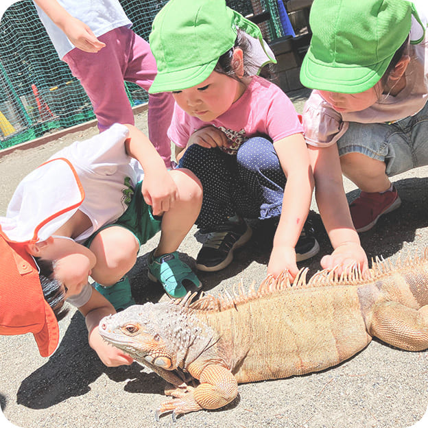 移動動物園