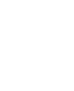 鳥のアイコン